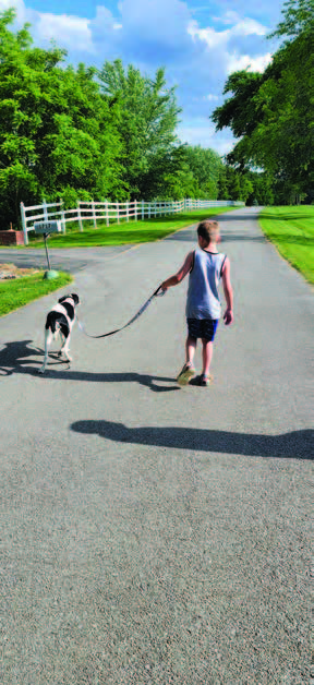 kid walking a dog