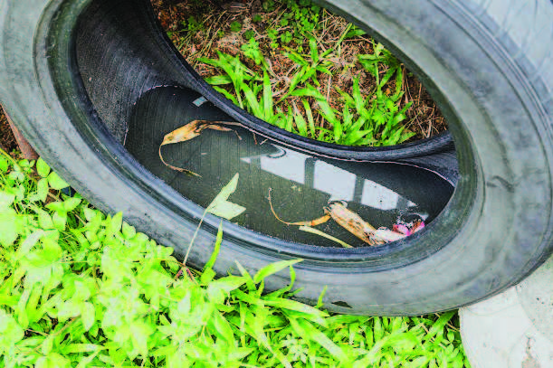 Water accumulated in old tires