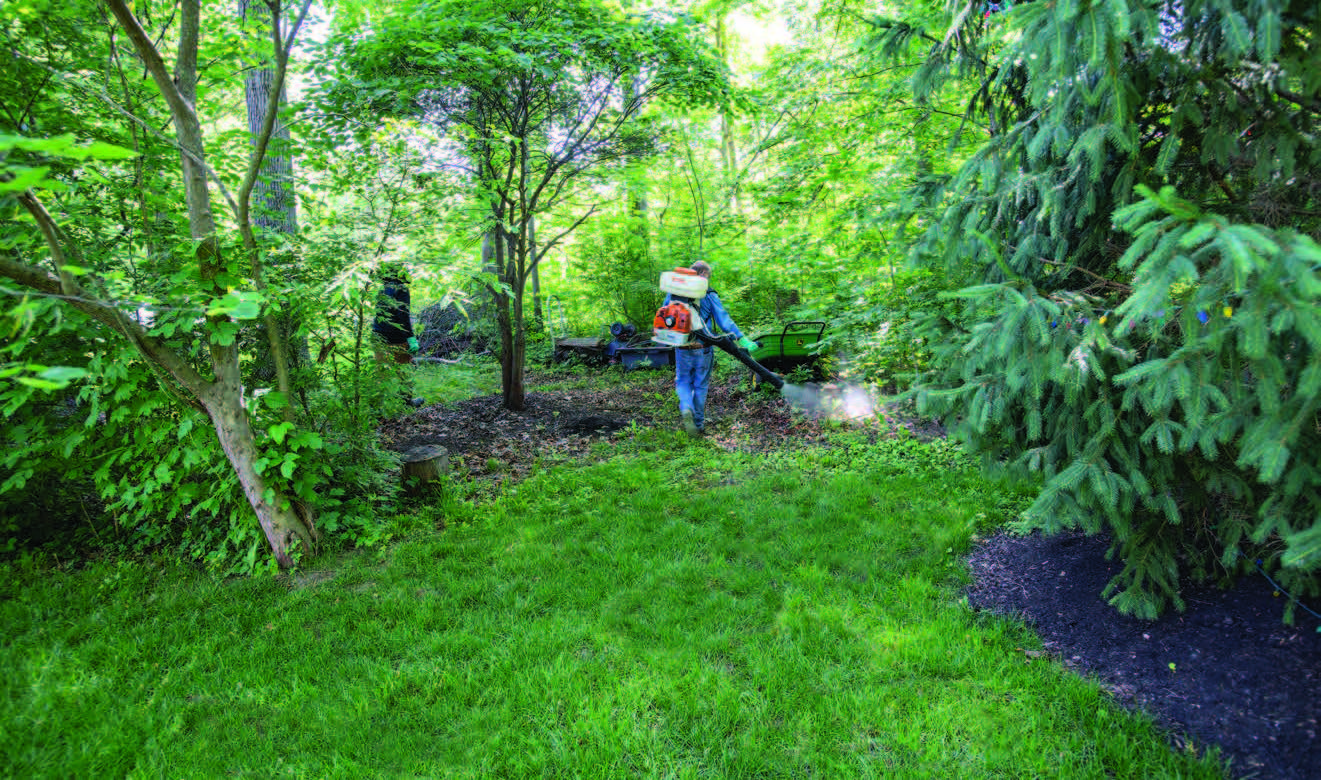 Person spraying mosquito repellent spray