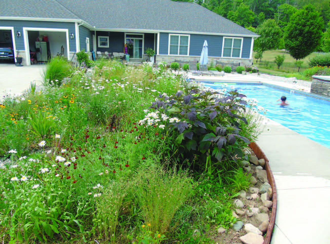 Garden near swimming pool