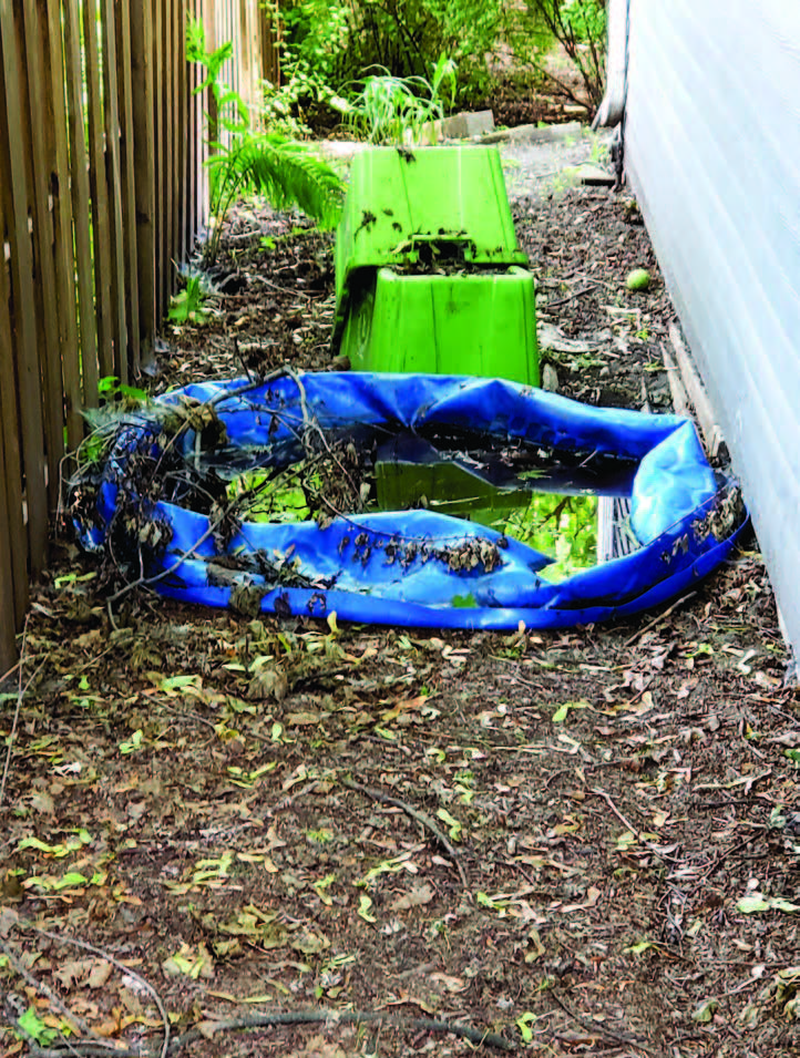 Backyard with Junk accumilating water