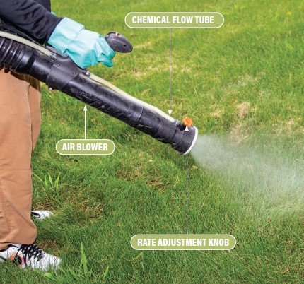 man spraying insecticide