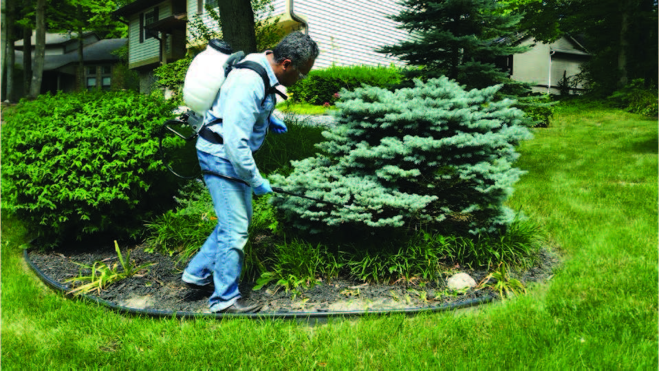 man spraying insecticide with a back pack small spray