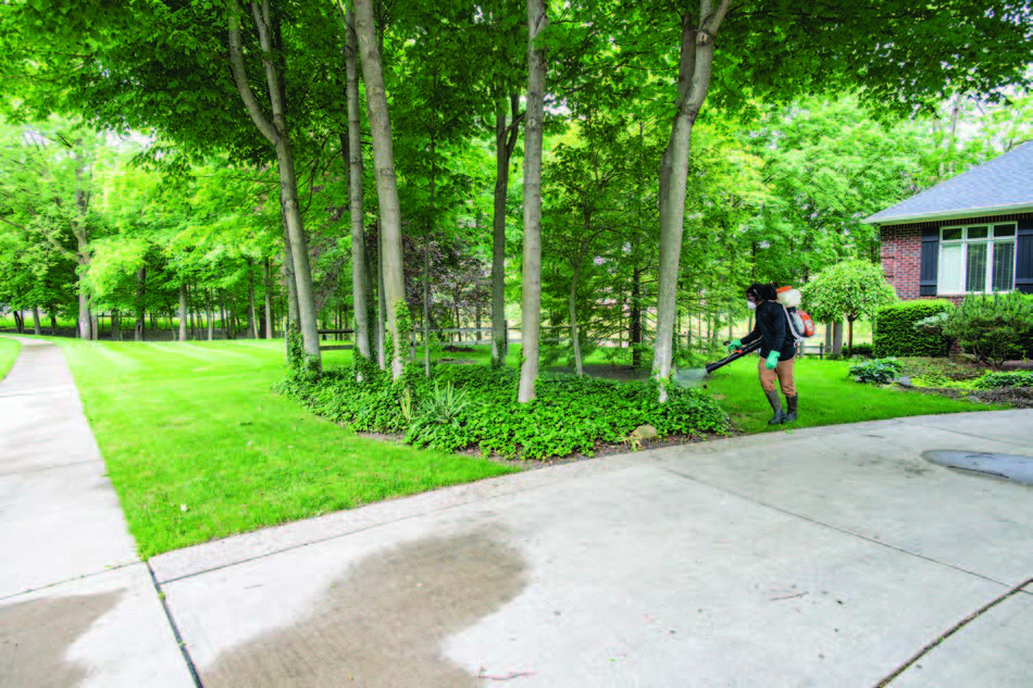 A man spraying insecticides on the front lawn of a residence