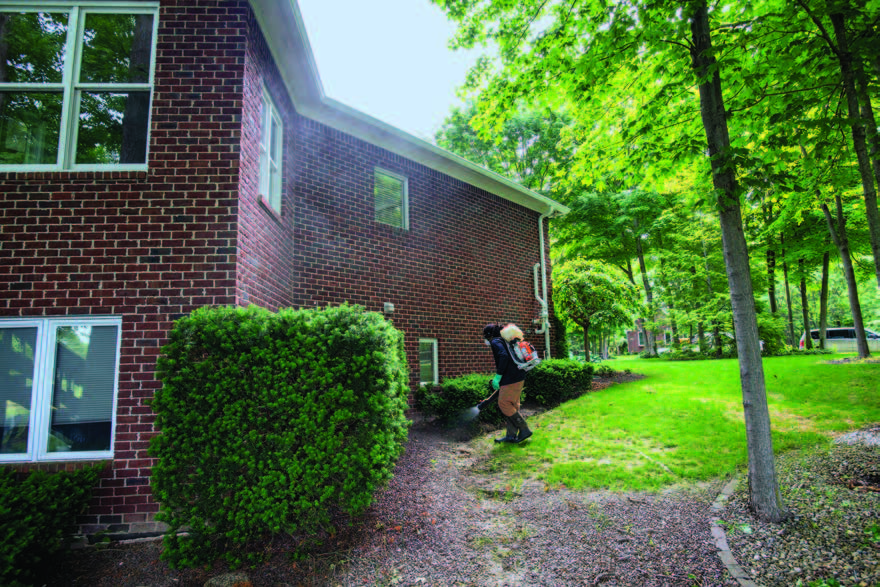 Man spraying insecticide on around the residence