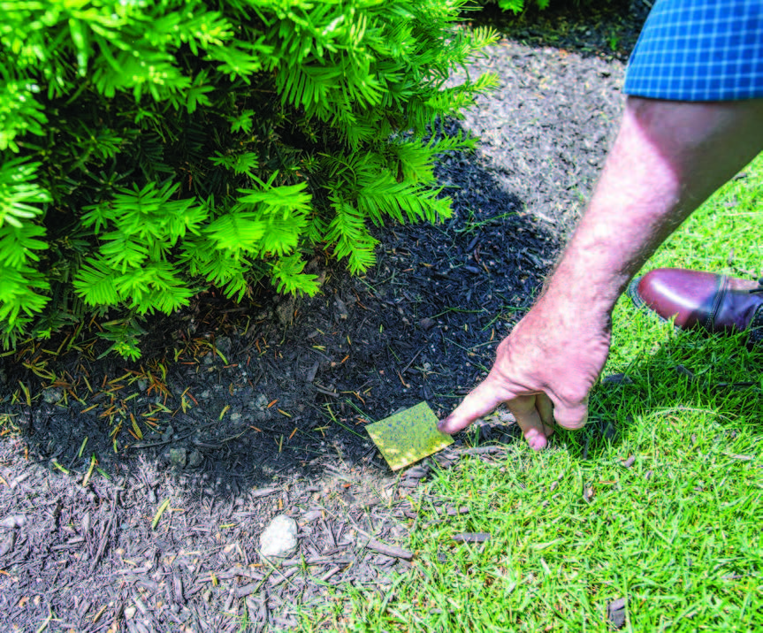 Man pointing to a yellow water-sensitive cards to show coverage 