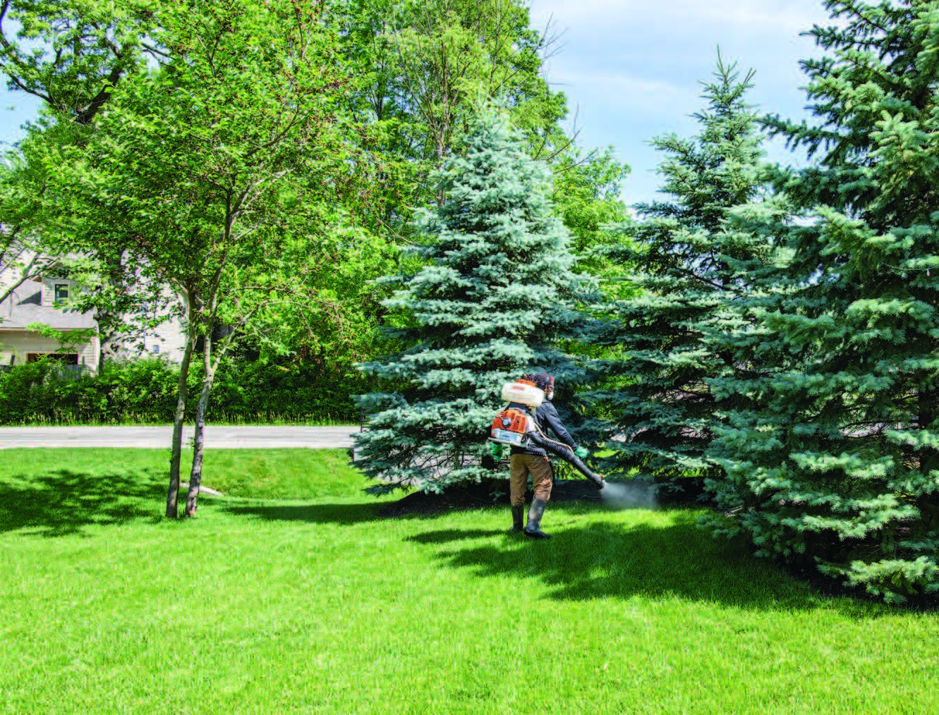 Man spraying insecticide near trees