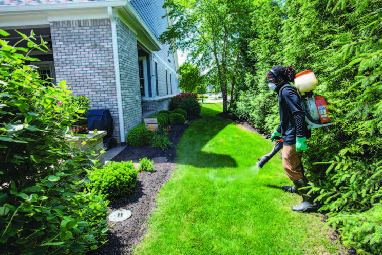 Man spraying insecticide near trees