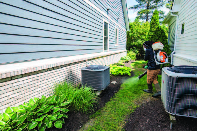 Man spraying insecticide near trees