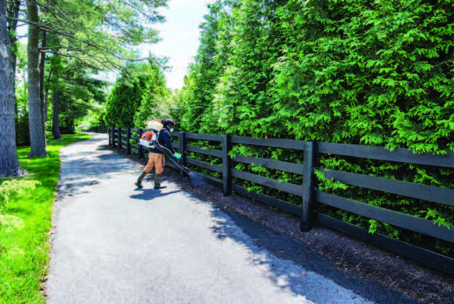 A man spraying insecticide near a fenced boundary lined with trees.