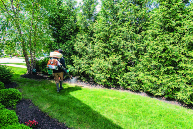 Man spraying insecticide near trees