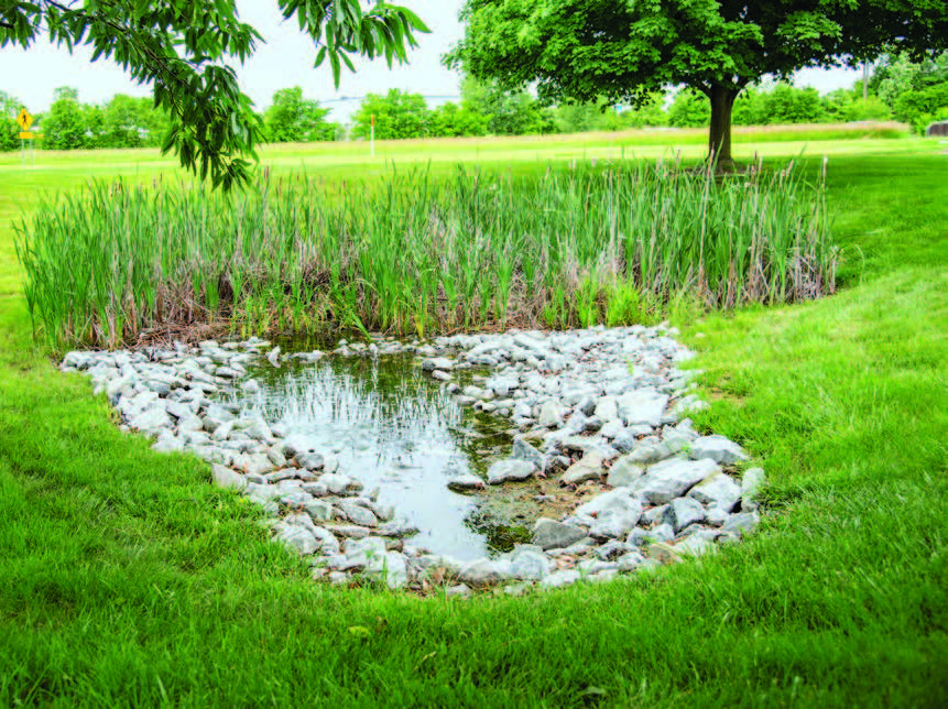 A site with water surrounded by rocks would be a good example where insecticides labeled for mosquito larval control would be ideal.