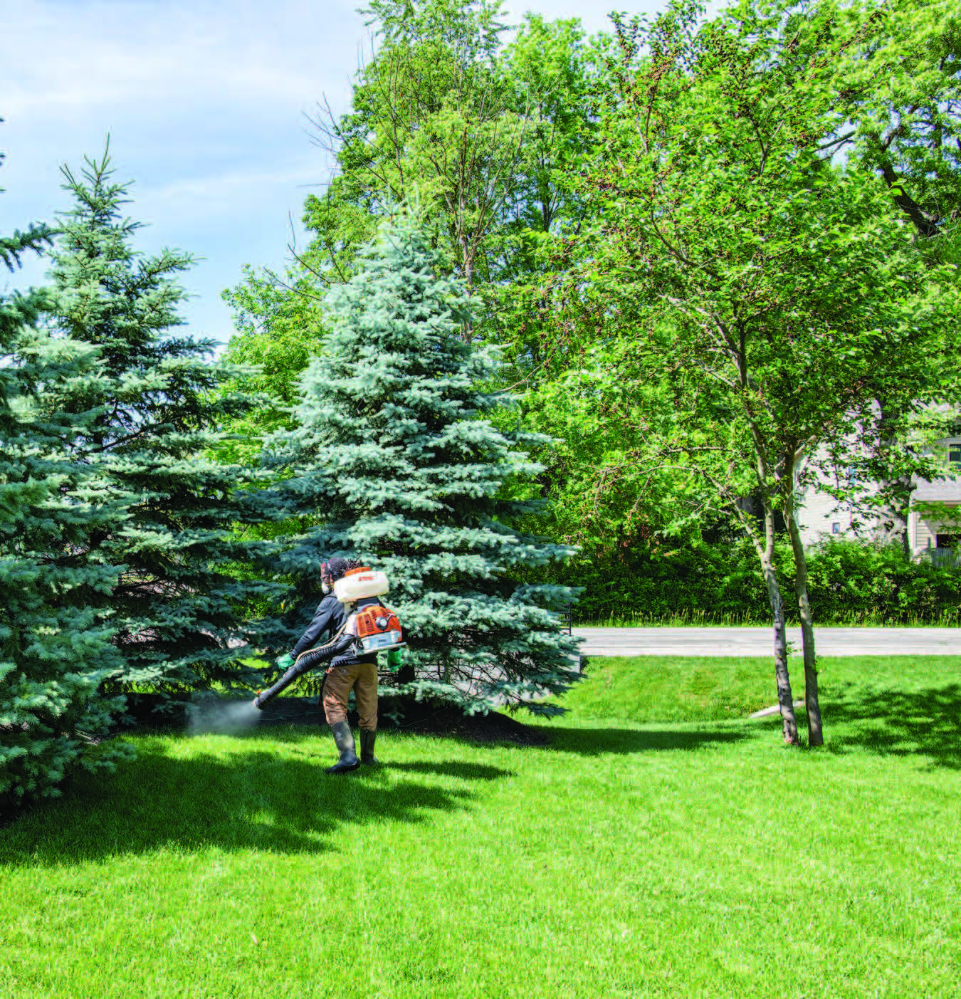 Man spraying insecticide near trees