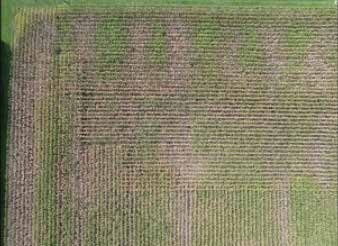 Always conduct pattern testing on your drones to determine effective spray swath width and ensure pattern uniformity no matter the body of research or database of aircraft setups for make and model.