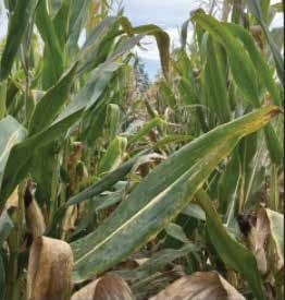 Very small differences in drone setup can change both pattern quality and swath width.