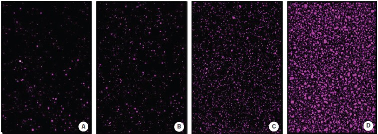 Using a fluorescent dye along with Kromekote cards show spray distribution when applicators use (A) 1 GPA; (B) 2 GPA; (C) 3 GPA; and (D) 15 GPA.