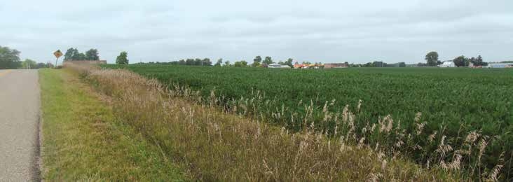 Always pick the highest point possible for a staging area, which will give you a clear view of the field and obstacles.