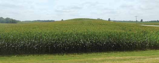 This is an example of a difficult field to fly because of the rolling hills and potential to lose contact and visual line of sight with the drone. The operator may have to fly half of the field from this end of the field and find another vantage point to cover the rest of the field.