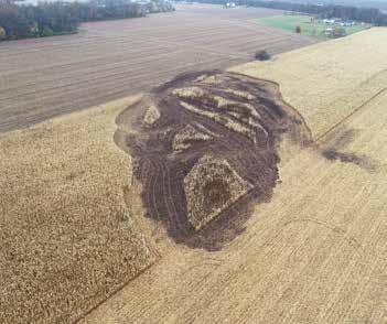 survey fire damage in a field