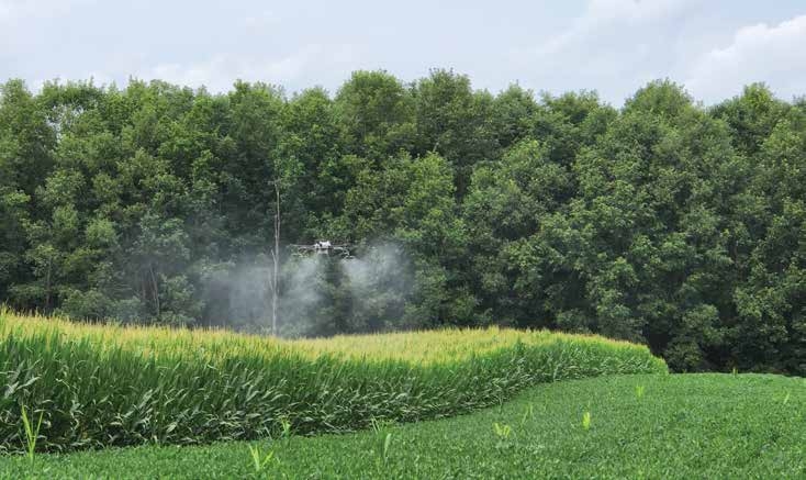 Spray drones can apply pesticides, such as this one that is applying fungicide to corn.