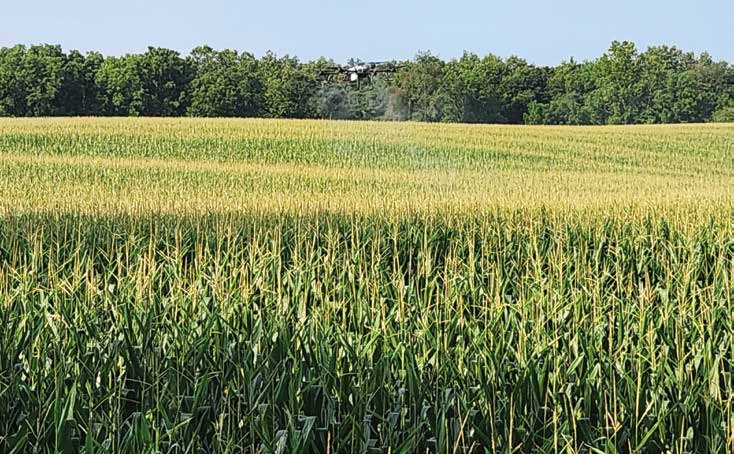 even crop field to maintain line of sight