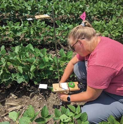 Researchers are examining the drone spray deposition