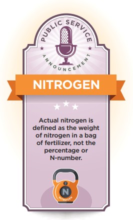 What Is Actual Nitrogen?