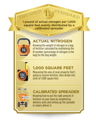 Infographic showing the gold standard: 1 lb of nitrogen per 1,000 sq ft applied evenly with a calibrated spreader.