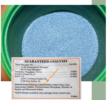 Polymer-coated fertilizer products often cost more than other fertilizers. The coating slowly dissolves, releasing nutrients to the turfgrass slowly over time.