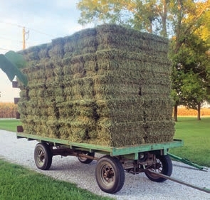 Hay on a trolley