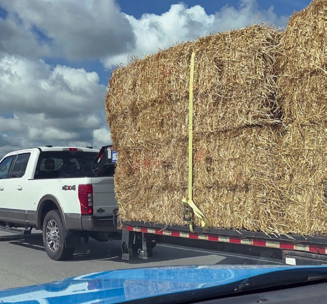 trailer is transporting a load of large square bales