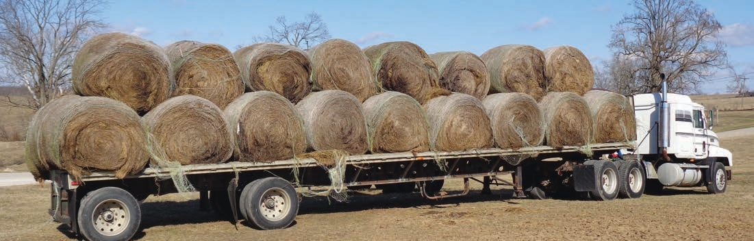 : This trailer has a headache rack in the front to hold the lower tier of round bales. 