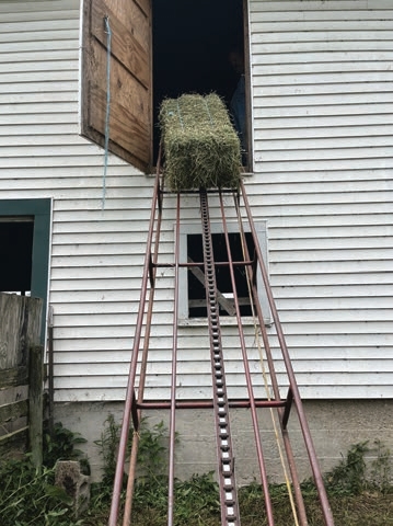 Conveyor machine lifting hay up to the first floor