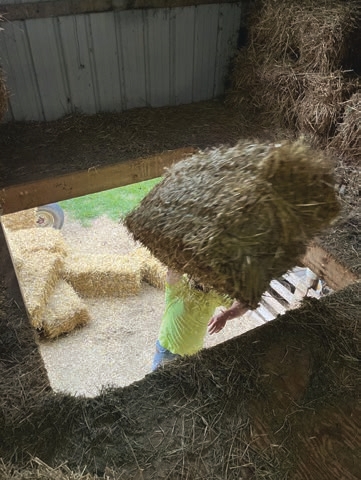 Man carrying Hay