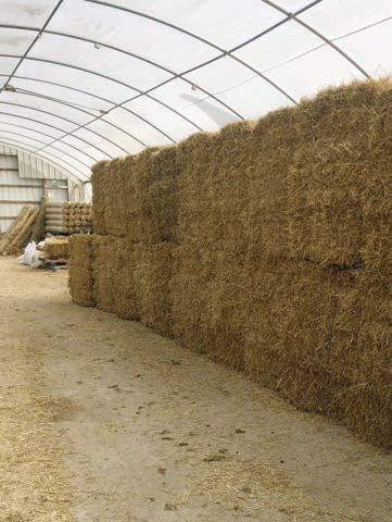 Hay stored safe from rain and heat