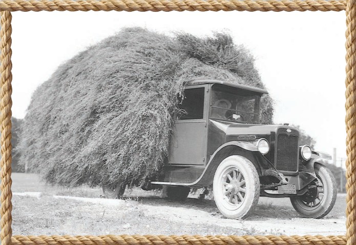 old truck with hayload