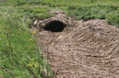 Debris-clogged ditches and drains can cause floods after heavy rains.