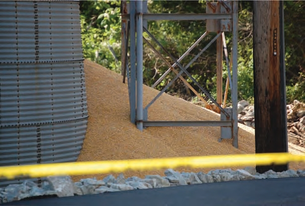 Building dikes around grain bins can help to keep stored grain dry.
