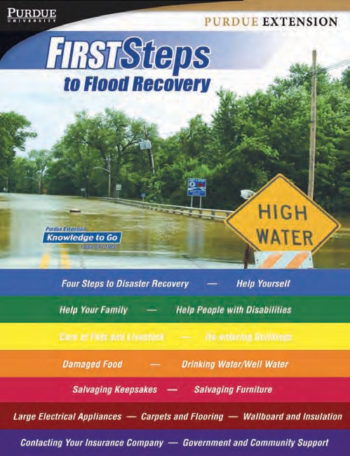 First Steps to Flood Recovery book cover