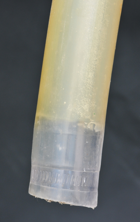 When clear tubing is discolored, the safest approach is to replace it.