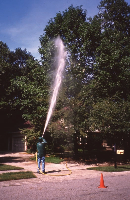 person using hose to water trees