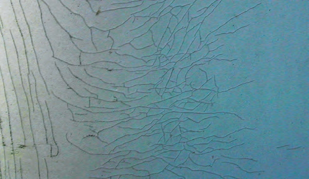 Inspect tanks for cracks that can appear anywhere, particularly if something hits the tank.