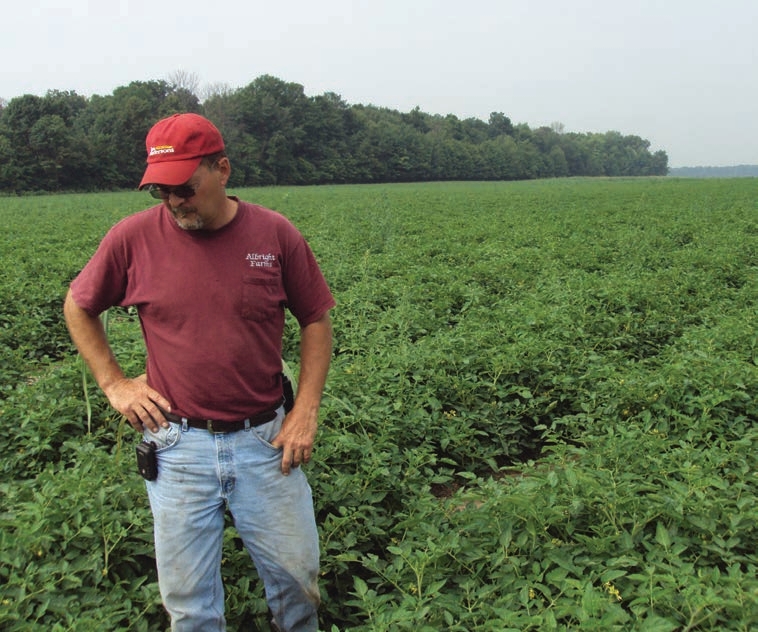 farmer inspecting crops