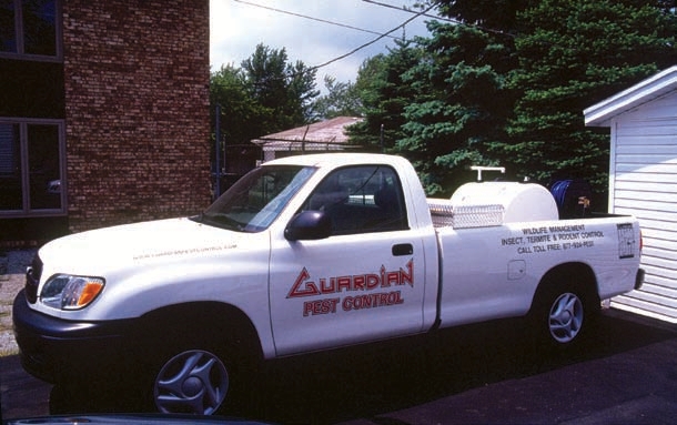 Business truck