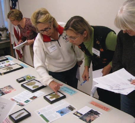 Volunteers being trained in horticulture