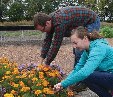 Purdue Master Gardener Volunteers in Action: Planting and Cultivating