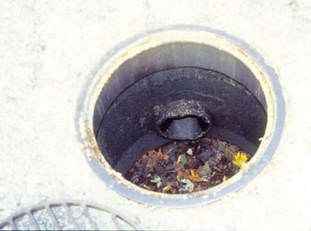 storm drain with the outflow pipe protruding from the middle