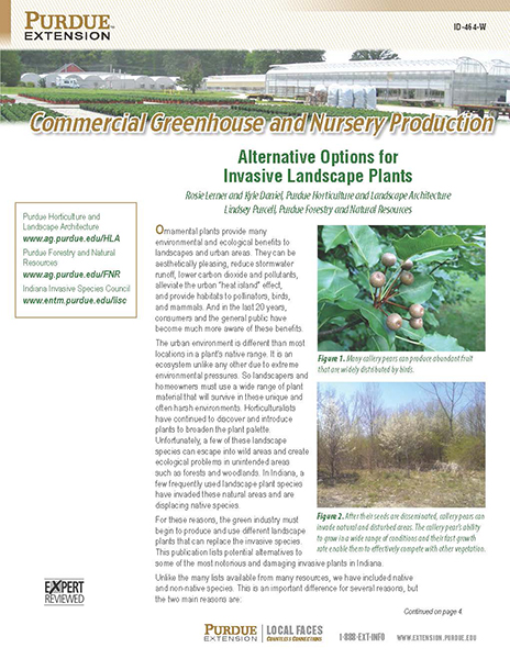 Alternative Options for Invasive Landscape Plants, ID-464-W publication.