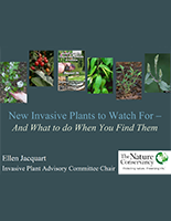 New Invasive Plants to Watch For, The Nature Conservancy