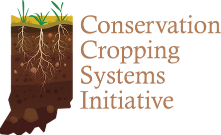 Conservation Cropping System Initiative logo
